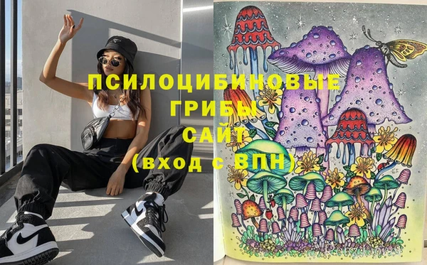 spice Балахна
