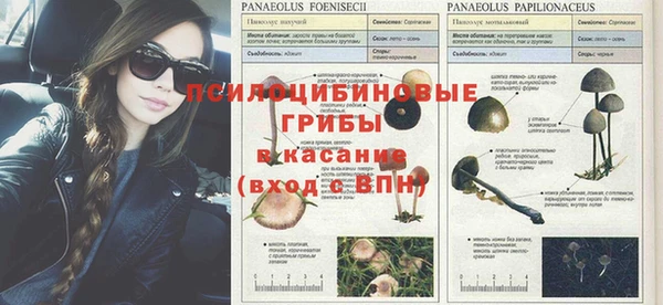 эйфоретик Баксан